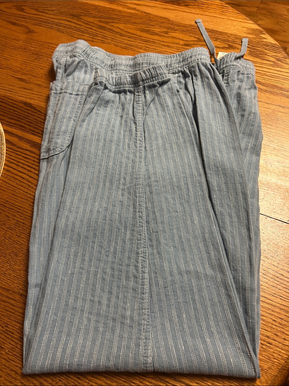 Patagonia Women’s Light Blue Pinstripe Jogger Pants